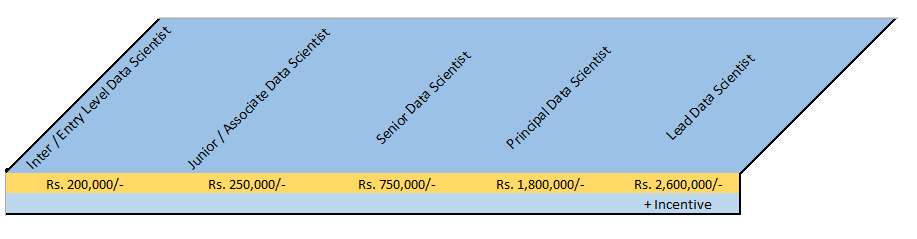 Data Scientist Salary in India by Position