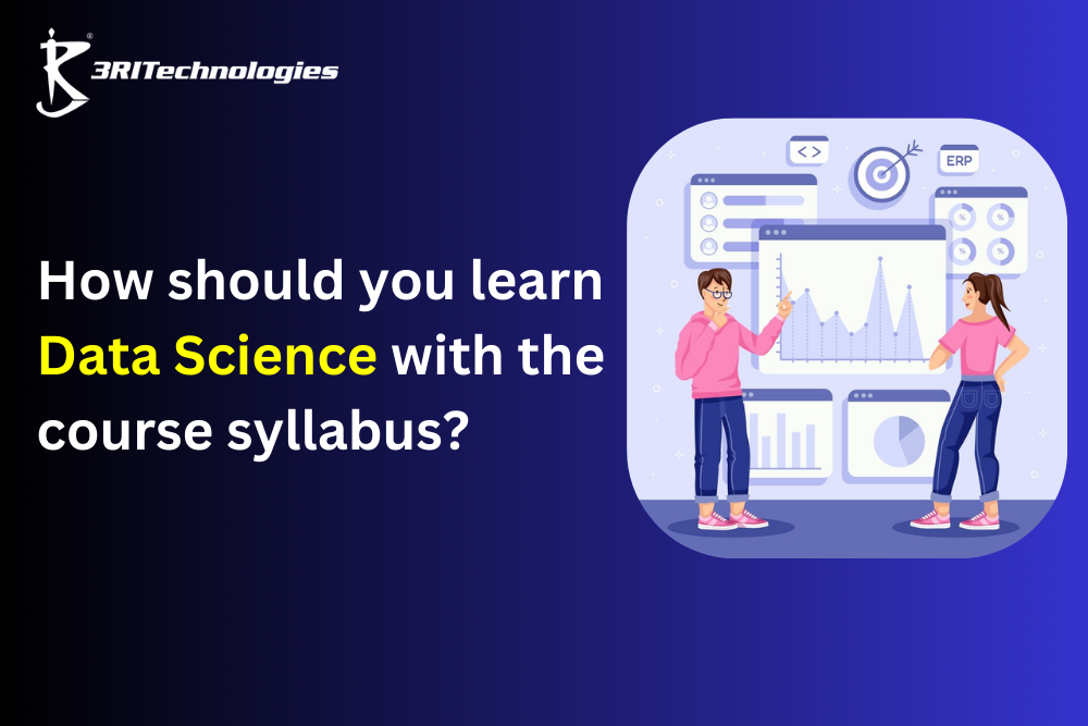 Read more about the article How should you learn Data Science with the course syllabus?